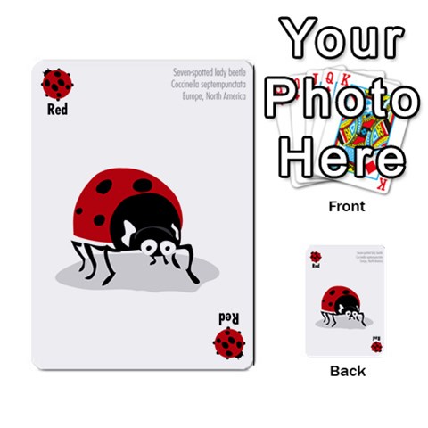 Ladybug Lunch, California Bugs Front 2