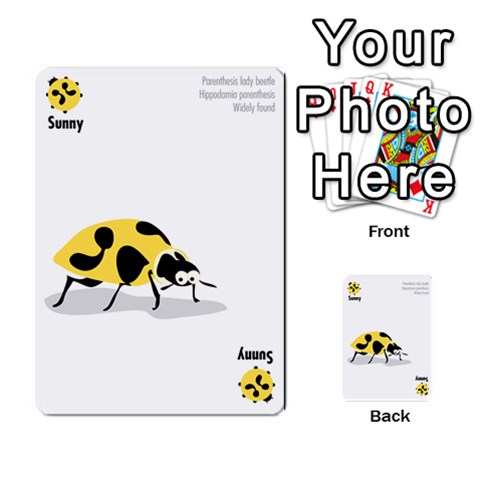 Ladybug Lunch, California Bugs Front 25