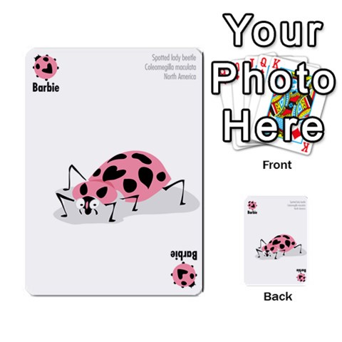 Ladybug Lunch, California Bugs Front 36
