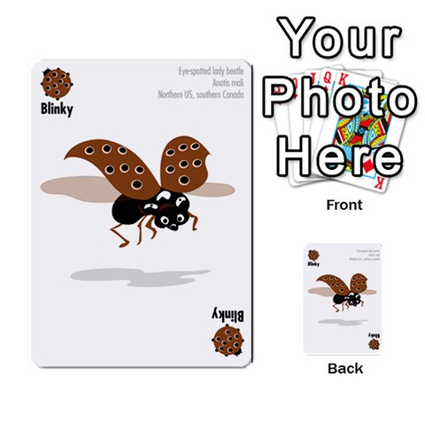 Ladybug Lunch, California Bugs Front 42