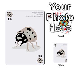 Ladybug Lunch, California bugs - deck 2 of 2 - Multi-purpose Cards (Rectangle)