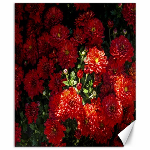 Bathroom Wall By Aaron Erickson 8.15 x9.66  Canvas - 1