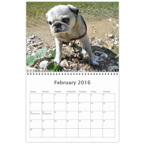 Pug Calendar Omi Clara 2016 By Lil Creatures Feb 2016