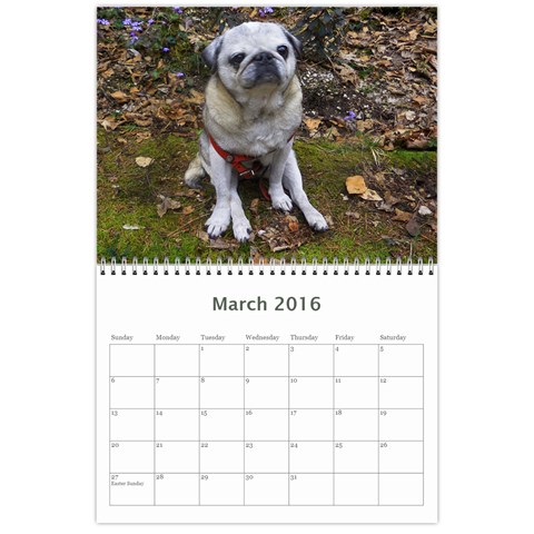 Pug Calendar Omi Clara 2016 By Lil Creatures Mar 2016