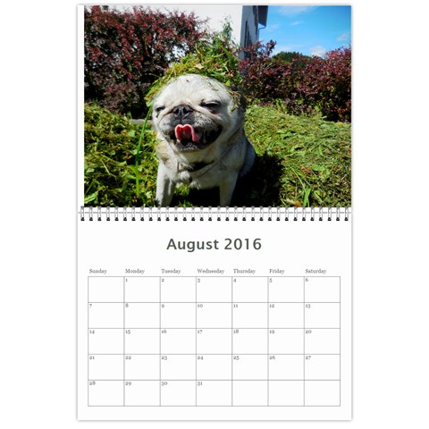 Pug Calendar Omi Clara 2016 By Lil Creatures Aug 2016