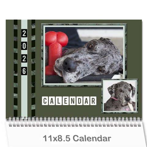 Green Frame Male 2026 Calendar (any Year) By Deborah Cover