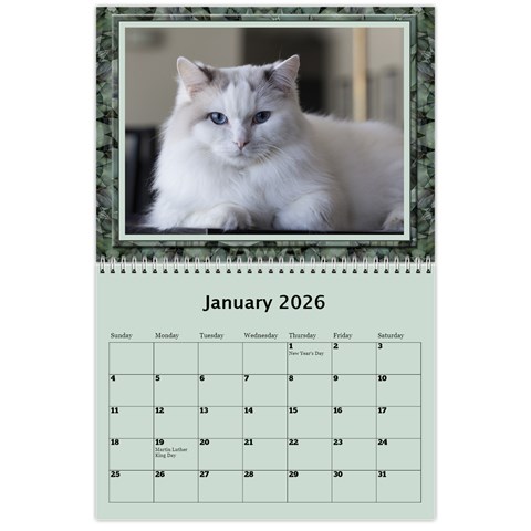 Green Frame Male 2026 Calendar (any Year) By Deborah Jan 2026