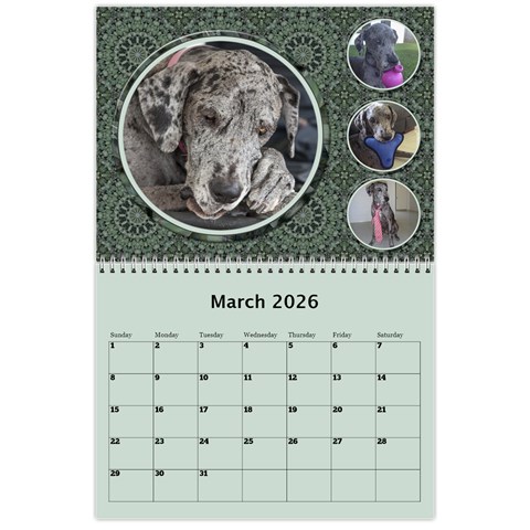 Green Frame Male 2026 Calendar (any Year) By Deborah Mar 2026