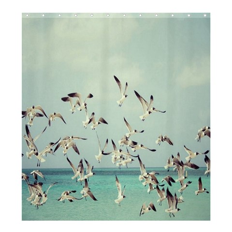 Seagulls :  Shower Curtain Template Preset Formatted For Product: Shower Curtain By Pamela Sue Goforth 58.75 x64.8  Curtain