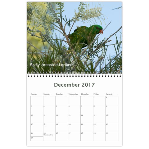 2017 Calendar By P Wells Dec 2017