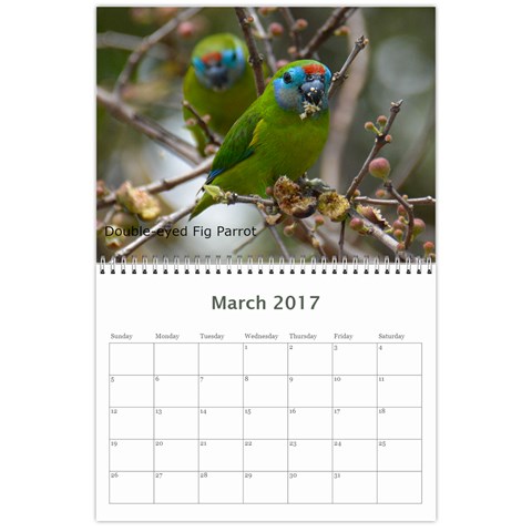 2017 Calendar By P Wells Mar 2017