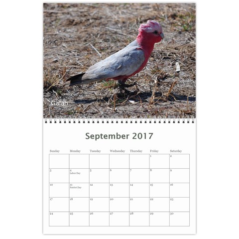 2017 Calendar By P Wells Sep 2017