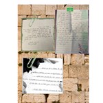 eretz yisroel album - 9x12 Deluxe Photo Book (20 pages)