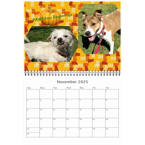 Pawsitive Beginnings Calendar  By Lamerle Nov 2025