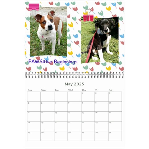 Pawsitive Beginnings Calendar  By Lamerle May 2025
