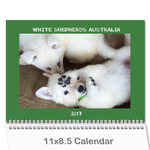 Wssdca Calendar 2017 B By Vicki Cover