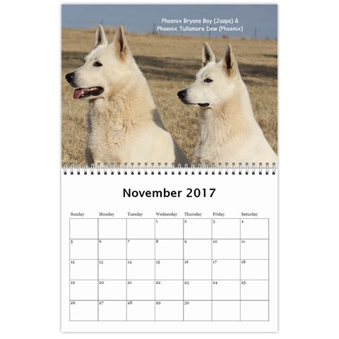 Wssdca Calendar 2017 B By Vicki Nov 2017