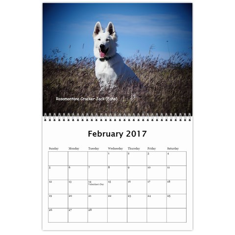 Wssdca Calendar 2017 B By Vicki Feb 2017