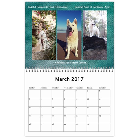 Wssdca Calendar 2017 B By Vicki Mar 2017