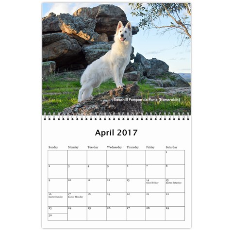Wssdca Calendar 2017 B By Vicki Apr 2017