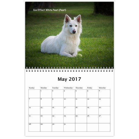Wssdca Calendar 2017 B By Vicki May 2017