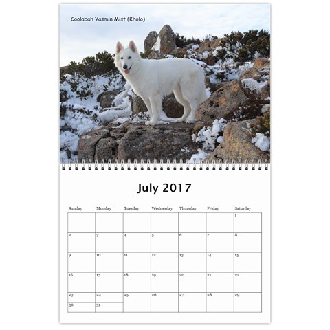 Wssdca Calendar 2017 B By Vicki Jul 2017