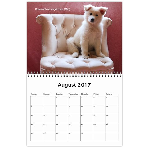 Wssdca Calendar 2017 B By Vicki Aug 2017