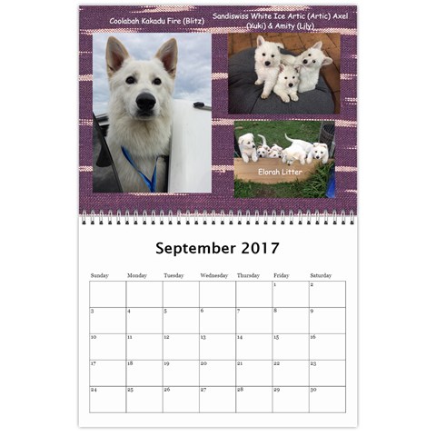 Wssdca Calendar 2017 B By Vicki Sep 2017