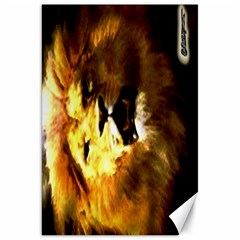 Lion 20x30 Portrait - Canvas 20  x 30 