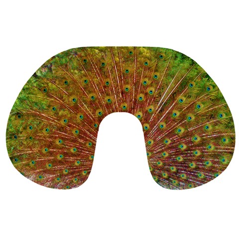 Peacock Travel Pillow By T Mac Back