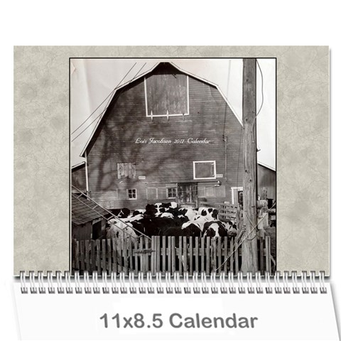 2017 Lois  Calendar  By Nancy Knutson Cover