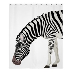 Shower Curtain 60  x 72  (Medium)