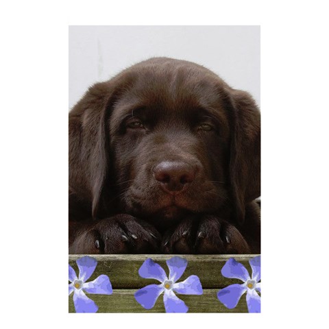Brownell Shower Curtain By Cindy Von Sutphen Curtain(48  X 72 ) - 42.18 x64.8  Curtain(48  X 72 )