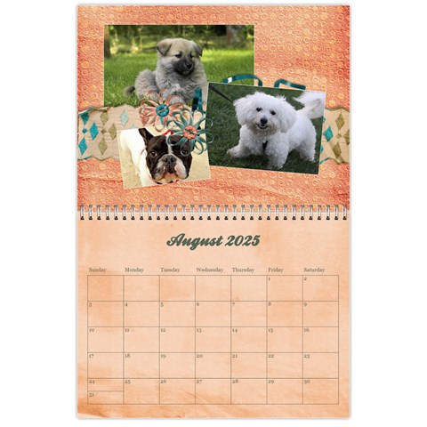 Love/cuddle Bunny/baby Cutie Aug 2025