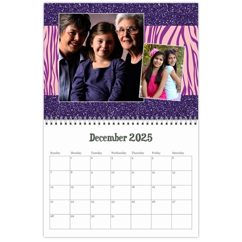 Zebra Glitter/teen/tween Calendar, 12 Months By Mikki Dec 2025