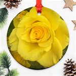 Yellow rose Ornament (Round) Front