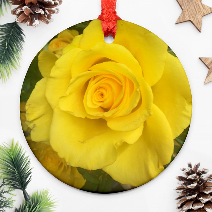 Yellow rose Ornament (Round)