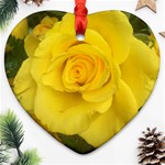 Yellow rose Ornament (Heart) Front