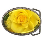 Yellow rose Belt Buckle Front