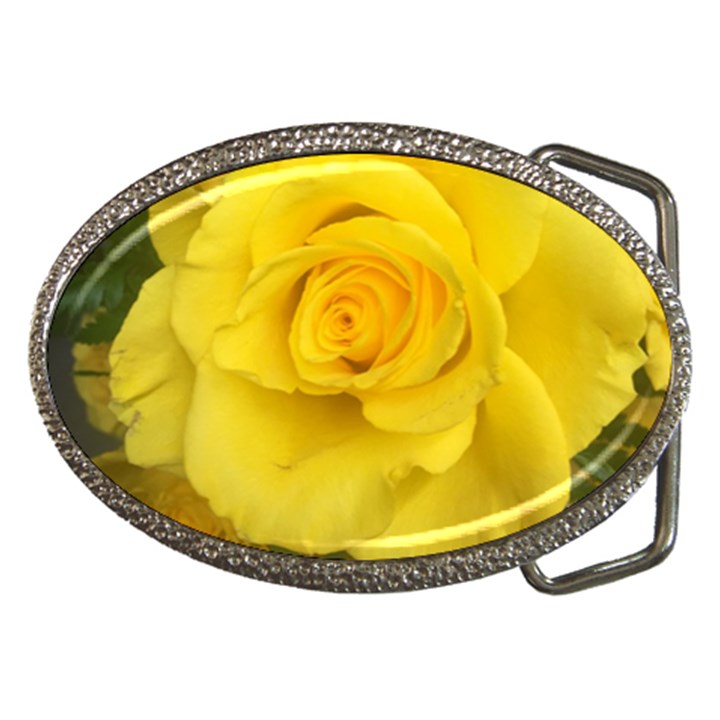 Yellow rose Belt Buckle