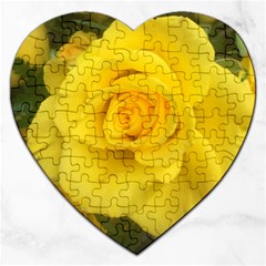 Yellow Rose Jigsaw Puzzle (heart) by glendatartist