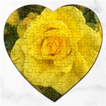 Yellow rose Jigsaw Puzzle (Heart) Front