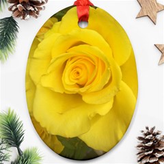 Yellow Rose Oval Ornament (two Sides) by glendatartist