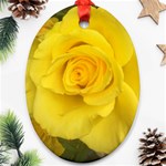 Yellow rose Oval Ornament (Two Sides) Front