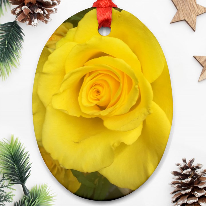 Yellow rose Oval Ornament (Two Sides)