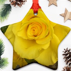 Yellow Rose Star Ornament (two Sides) by glendatartist