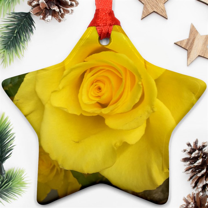 Yellow rose Star Ornament (Two Sides)