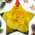 Yellow rose Star Ornament (Two Sides) Back