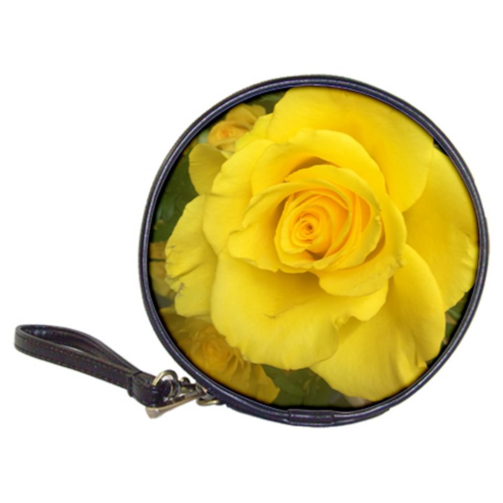 Yellow rose Classic 20-CD Wallet