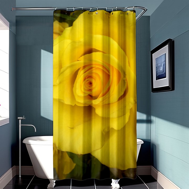 Yellow rose Shower Curtain 36  x 72  (Stall)
